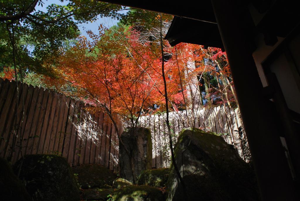 Akizuki Spa Ryokan Seiryuan Asakura  Exterior foto